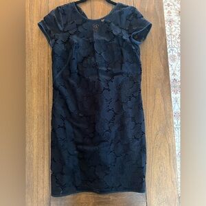 Loft navy lace dress